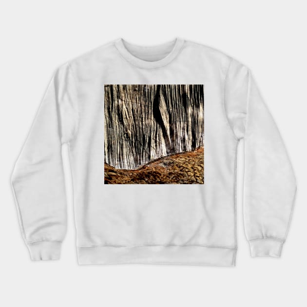 Tree bark and wood Crewneck Sweatshirt by oknoki